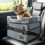 Best Dog Car Seat