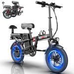 Best E Bike With Passenger Seat