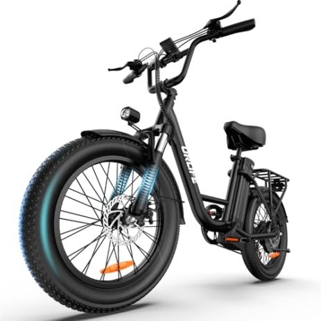 Best Fat Tire Electric Bikes