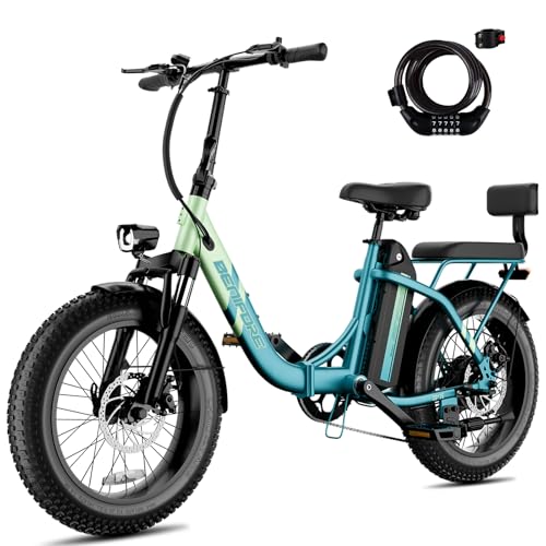 Electric Bike With Kid Seat