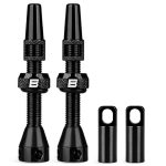 Mountain Bike Valve Stem