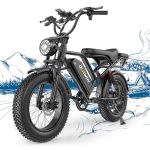 Two Seater Electric Bike