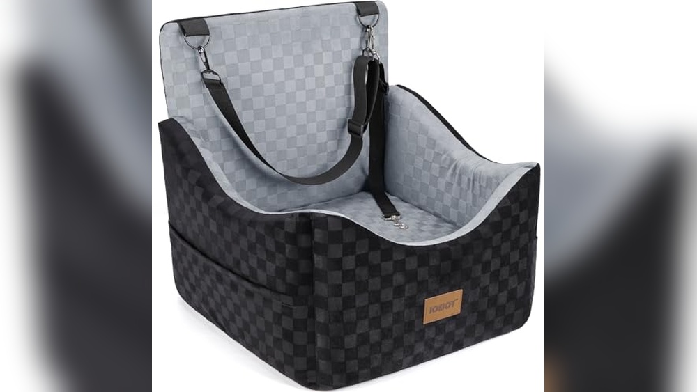 Best Car Seat for Dachshund